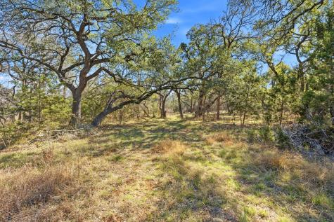 1081 Clark Cove Buda TX 78610