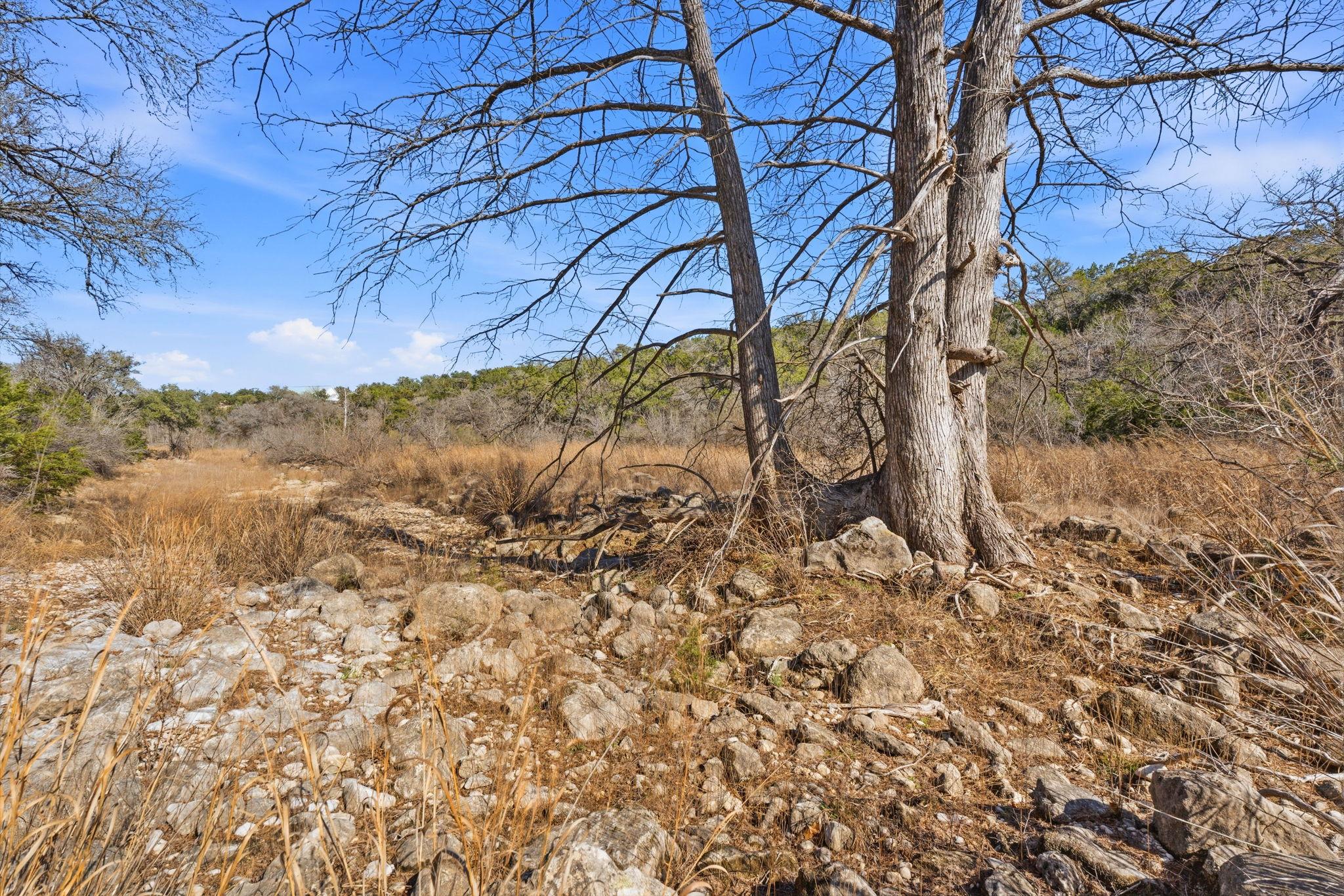 1081 Clark Cove Buda TX 78610