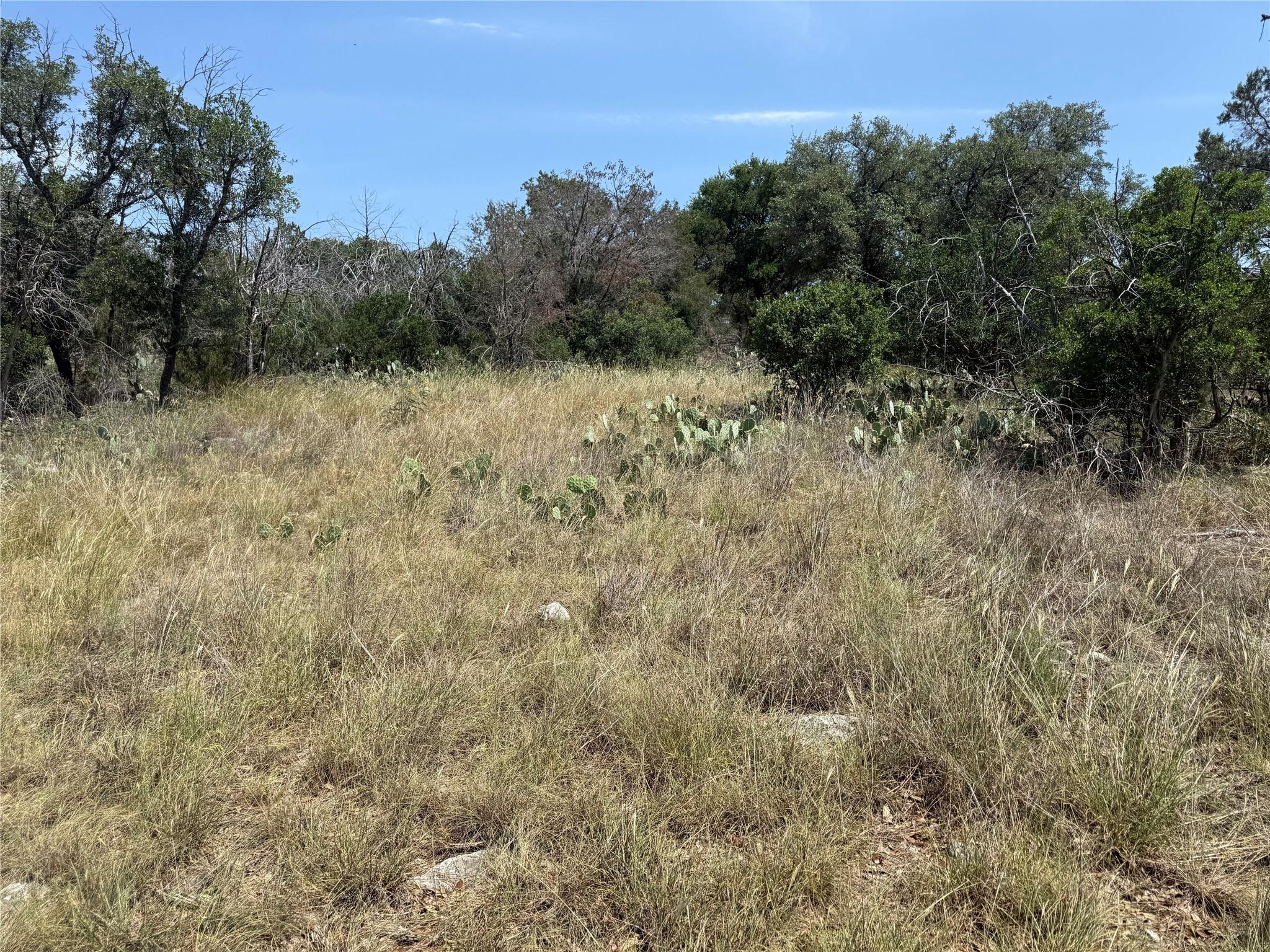 Lot 14067 Hi Mesa Drive Horseshoe Bay TX 78657