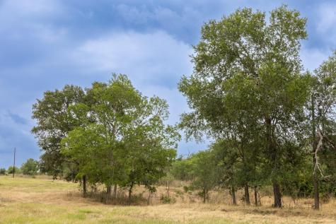 Lot 9 Tenney Creek Road Luling TX 78644