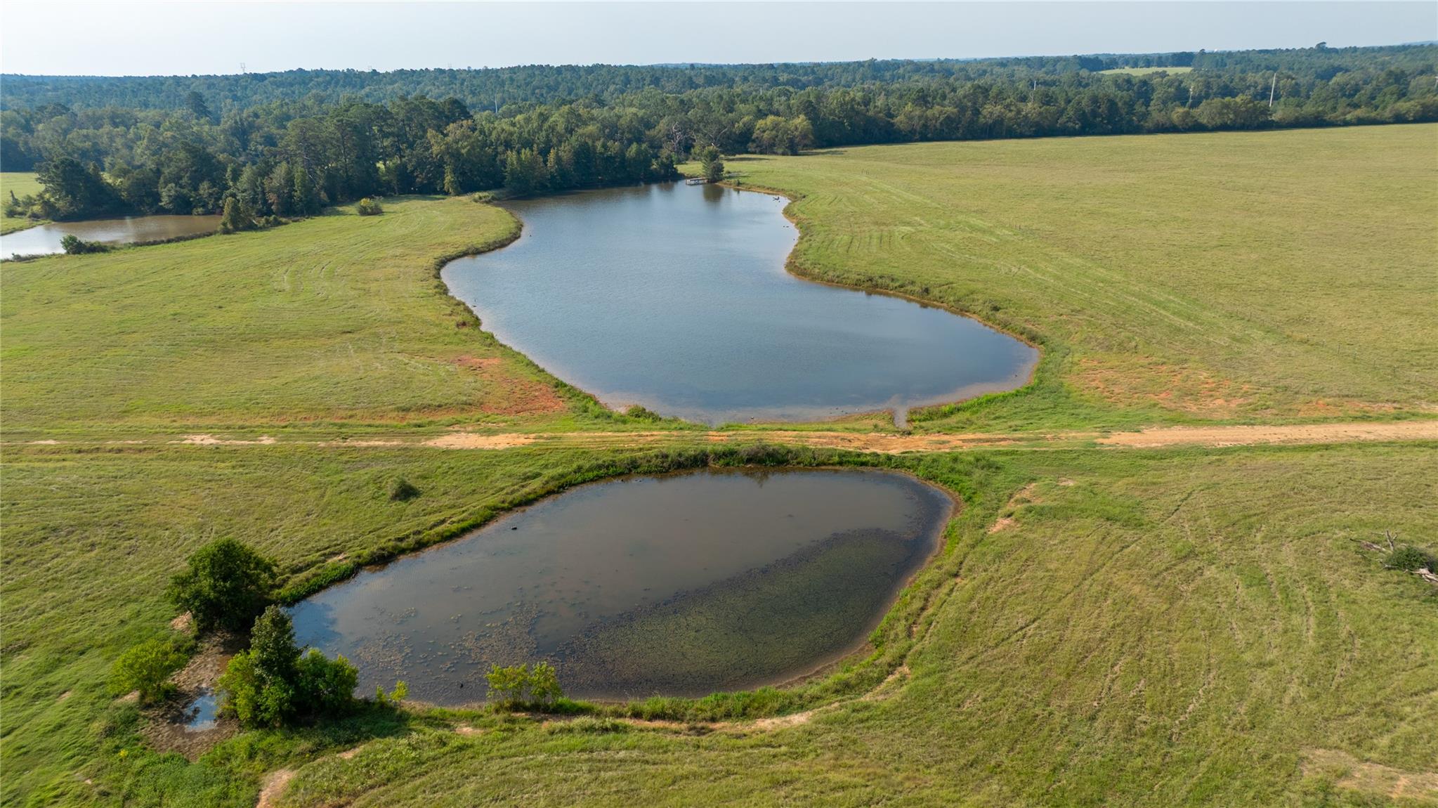 1206 County Road 1515 Crockett TX 75835