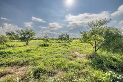 Lot 1-c County Road 491 Gonzales TX 78629