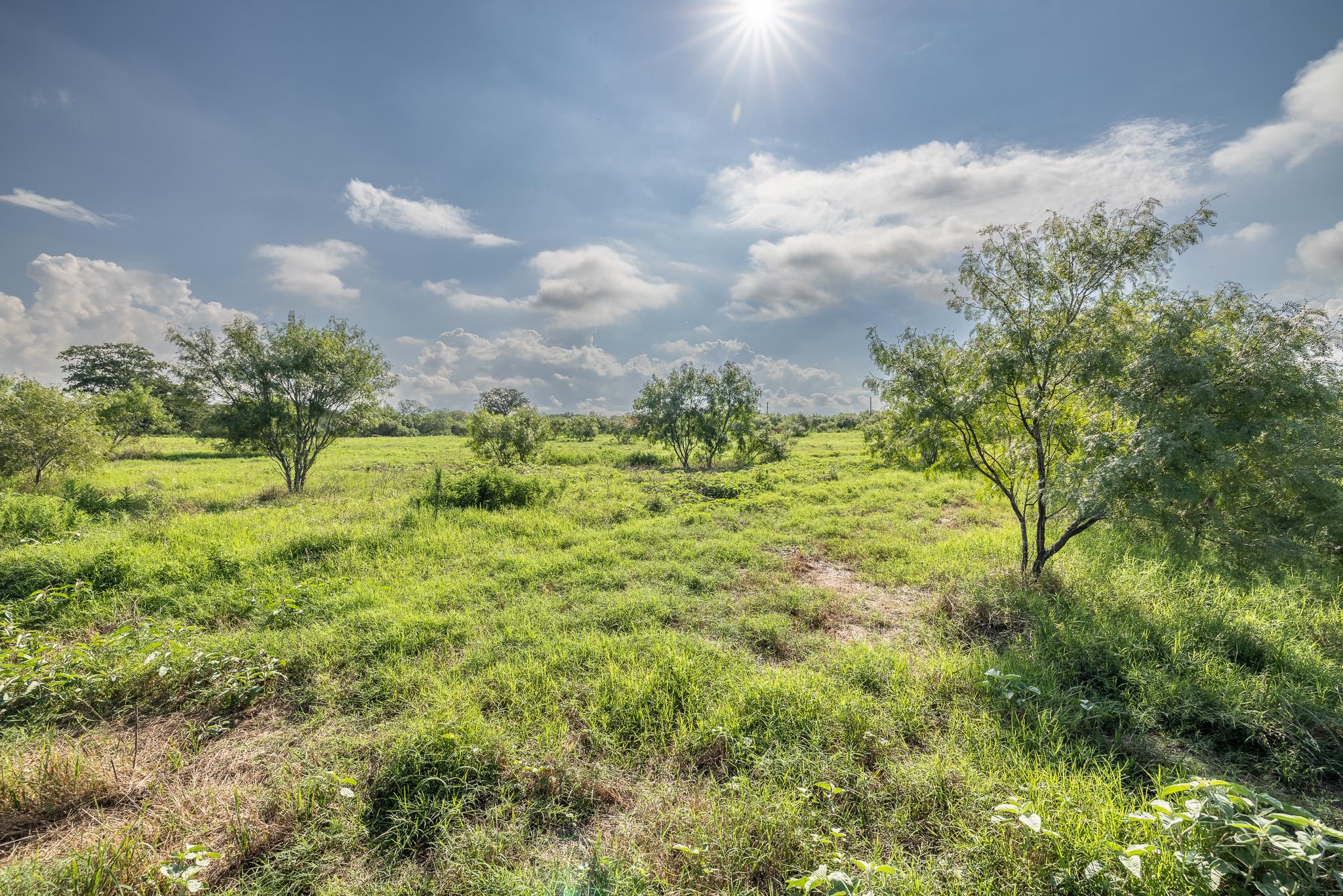 Lot 1-c County Road 491 Gonzales TX 78629