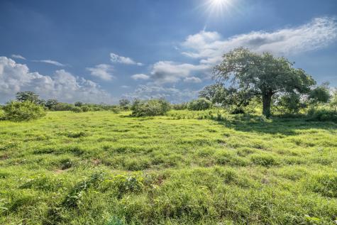 Lot 1-c County Road 491 Gonzales TX 78629