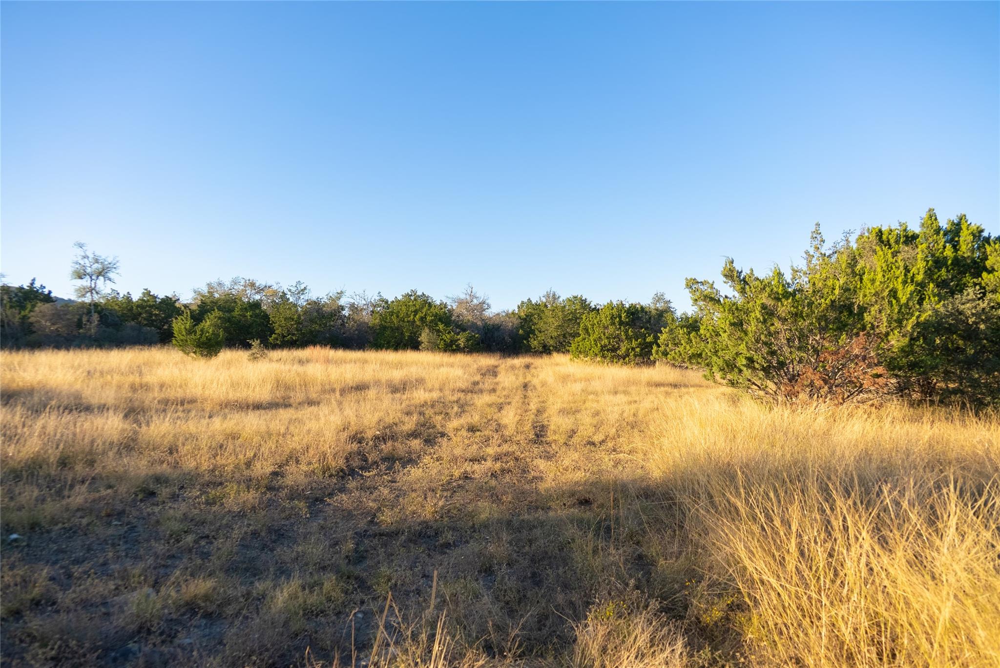 358 Cornelius Road Utopia TX 78885