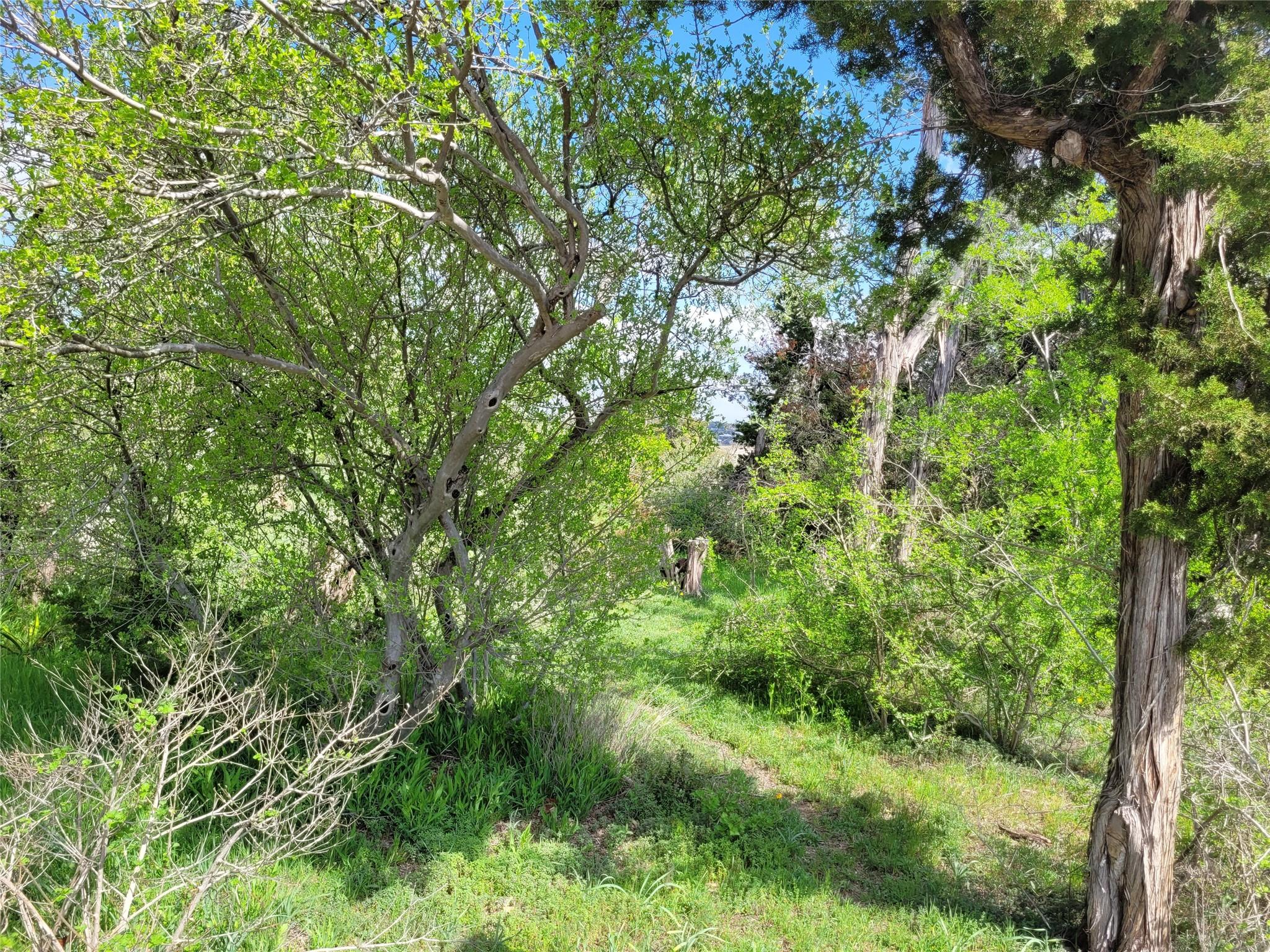 19910 Siesta Shores Drive Spicewood TX 78669