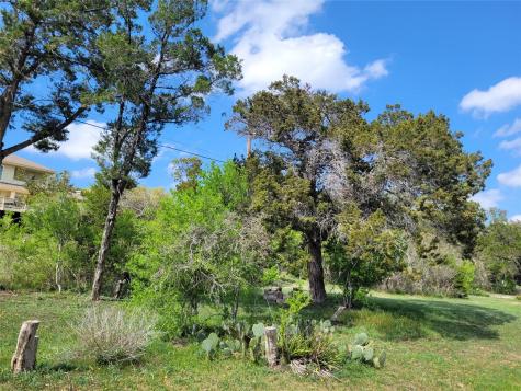 19910 Siesta Shores Drive Spicewood TX 78669