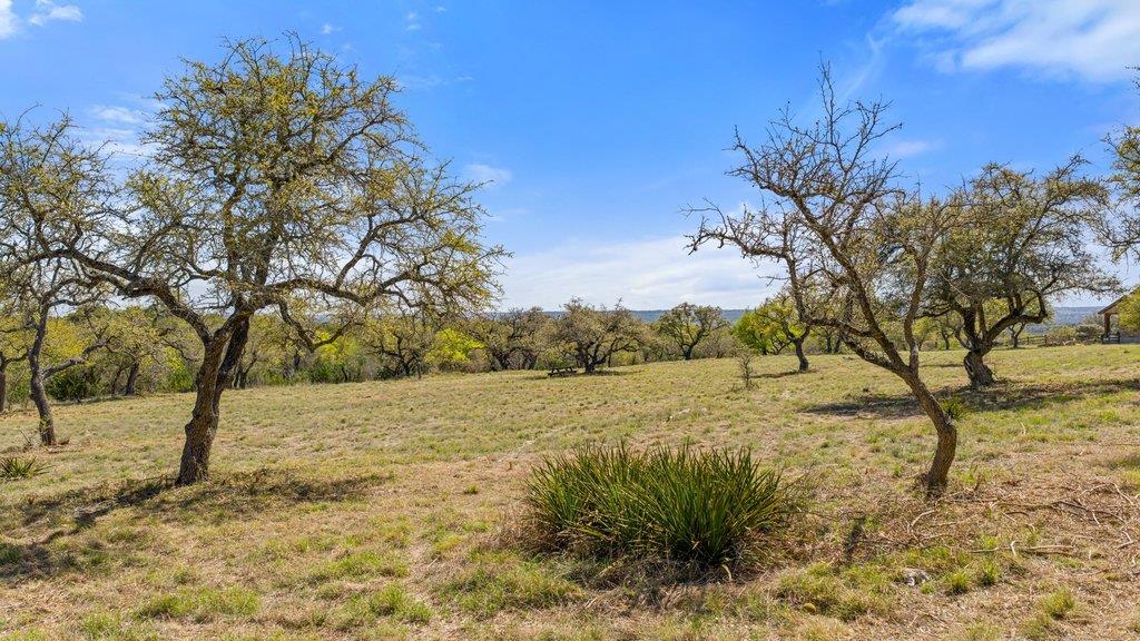 Lot 19 Stone Ridge Mountain Drive Round Mountain TX 78663
