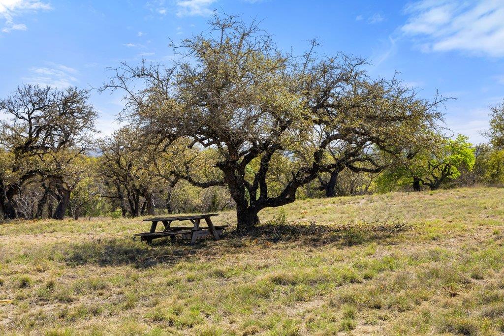 Lot 19 Stone Ridge Mountain Drive Round Mountain TX 78663