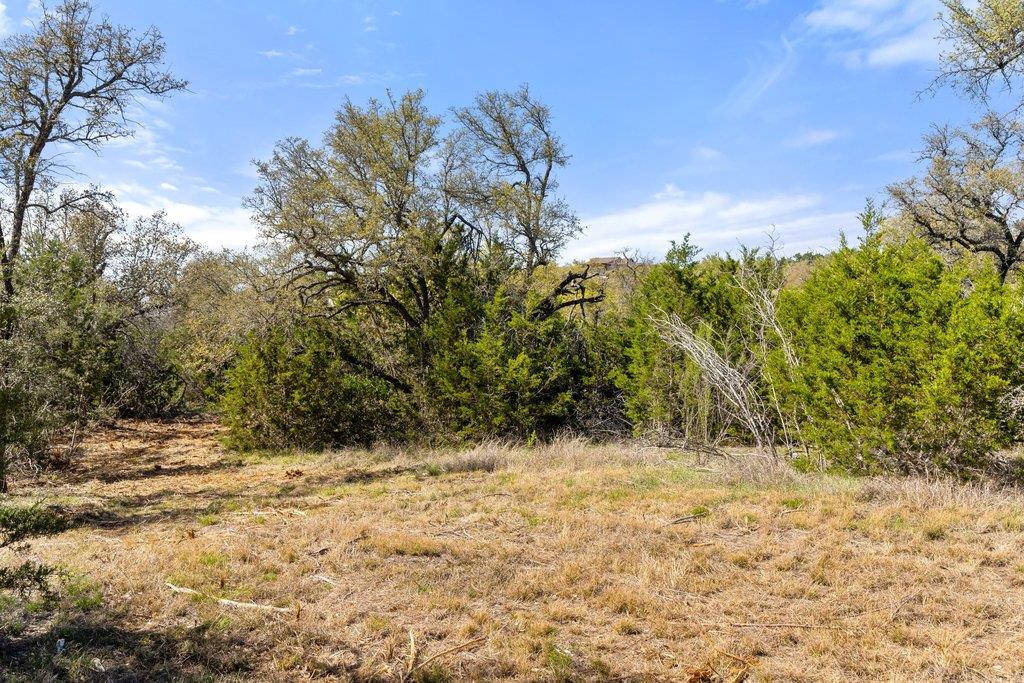 Lot 19 Stone Ridge Mountain Drive Round Mountain TX 78663