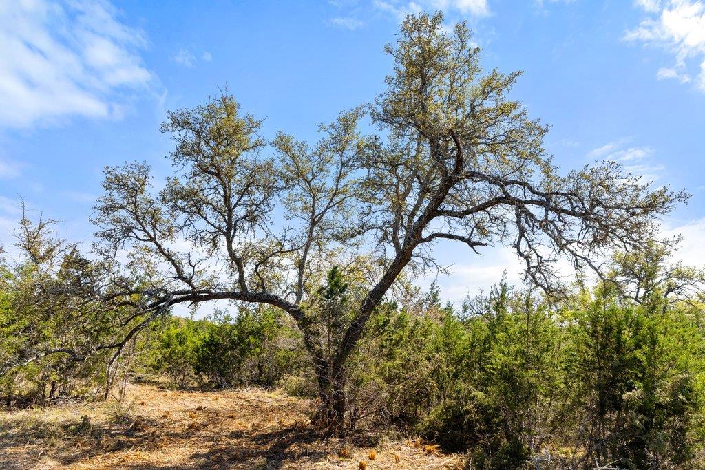 Lot 19 Stone Ridge Mountain Drive Round Mountain TX 78663