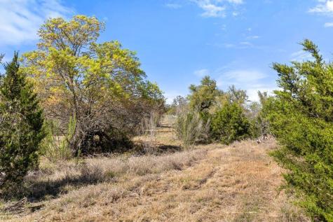 Lot 19 Stone Ridge Mountain Drive Round Mountain TX 78663