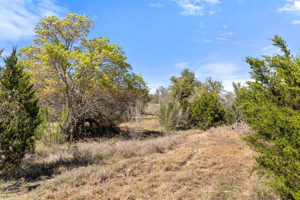 Lot 19 Stone Ridge Mountain Drive Round Mountain TX 78663