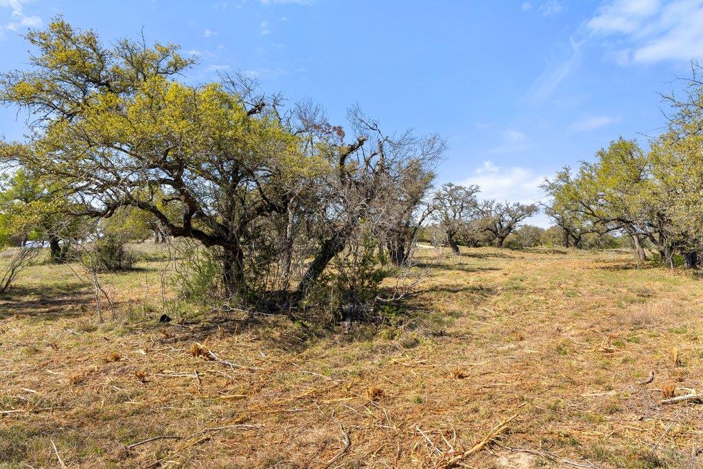 Lot 19 Stone Ridge Mountain Drive Round Mountain TX 78663