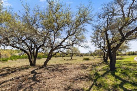 Lot 19 Stone Ridge Mountain Drive Round Mountain TX 78663