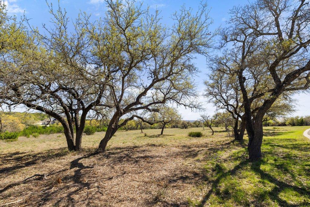 Lot 19 Stone Ridge Mountain Drive Round Mountain TX 78663