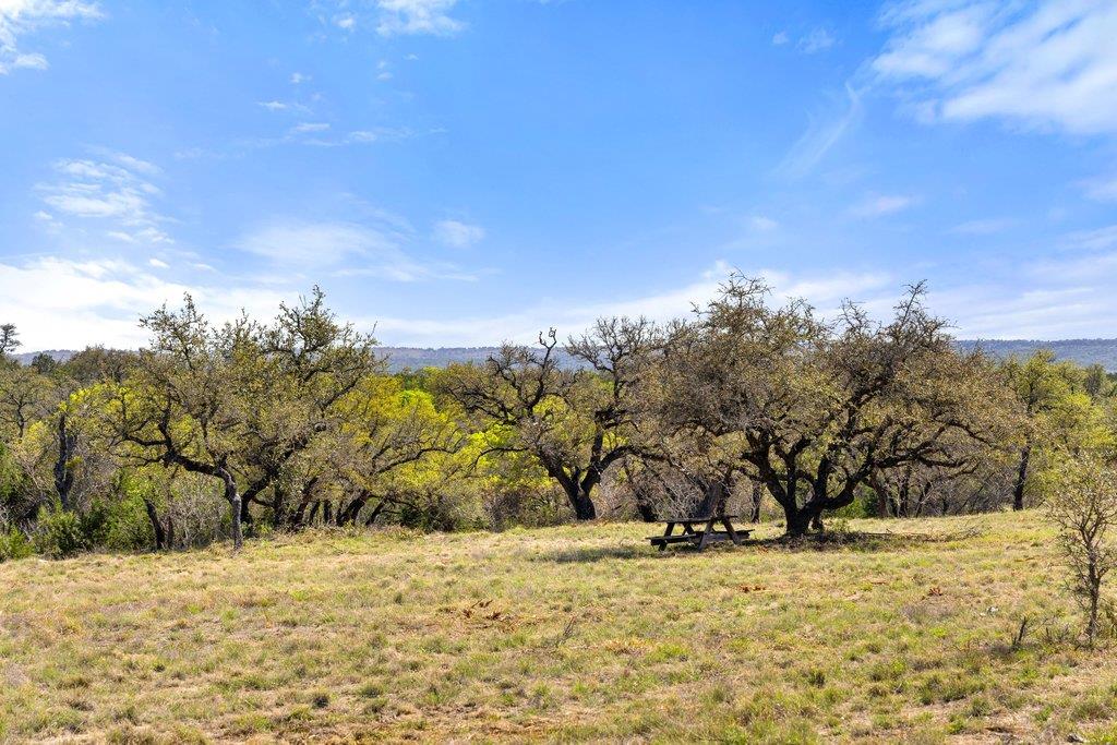 Lot 19 Stone Ridge Mountain Drive Round Mountain TX 78663