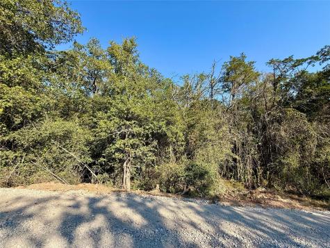 Tbd Lot 1233 Hanauma Drive Bastrop TX 78602