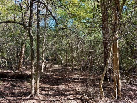 Tbd Lot 1233 Hanauma Drive Bastrop TX 78602