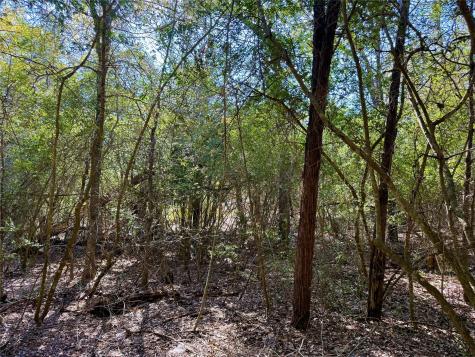Tbd Lot 1233 Hanauma Drive Bastrop TX 78602