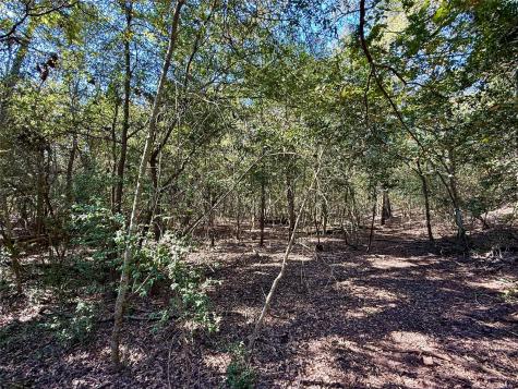 Tbd Lot 1233 Hanauma Drive Bastrop TX 78602