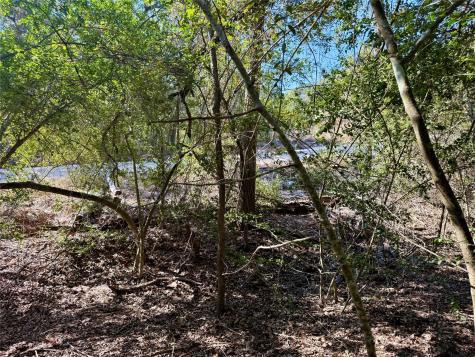 Tbd Lot 1233 Hanauma Drive Bastrop TX 78602