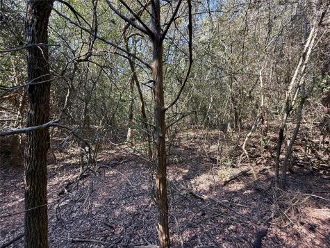 Tbd Lot 1233 Hanauma Drive Bastrop TX 78602