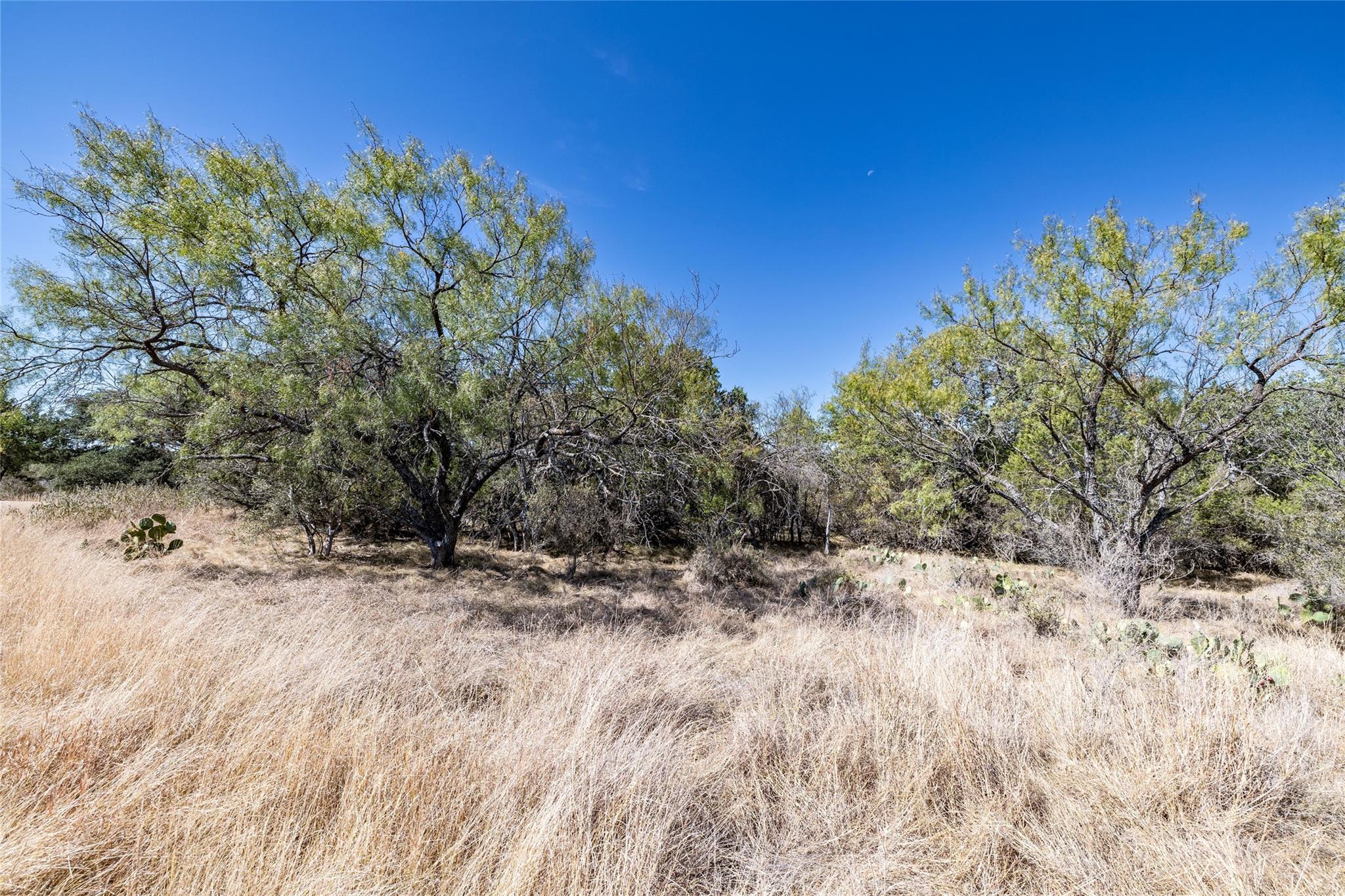 K8079 Stagecoach Horseshoe Bay TX 78657