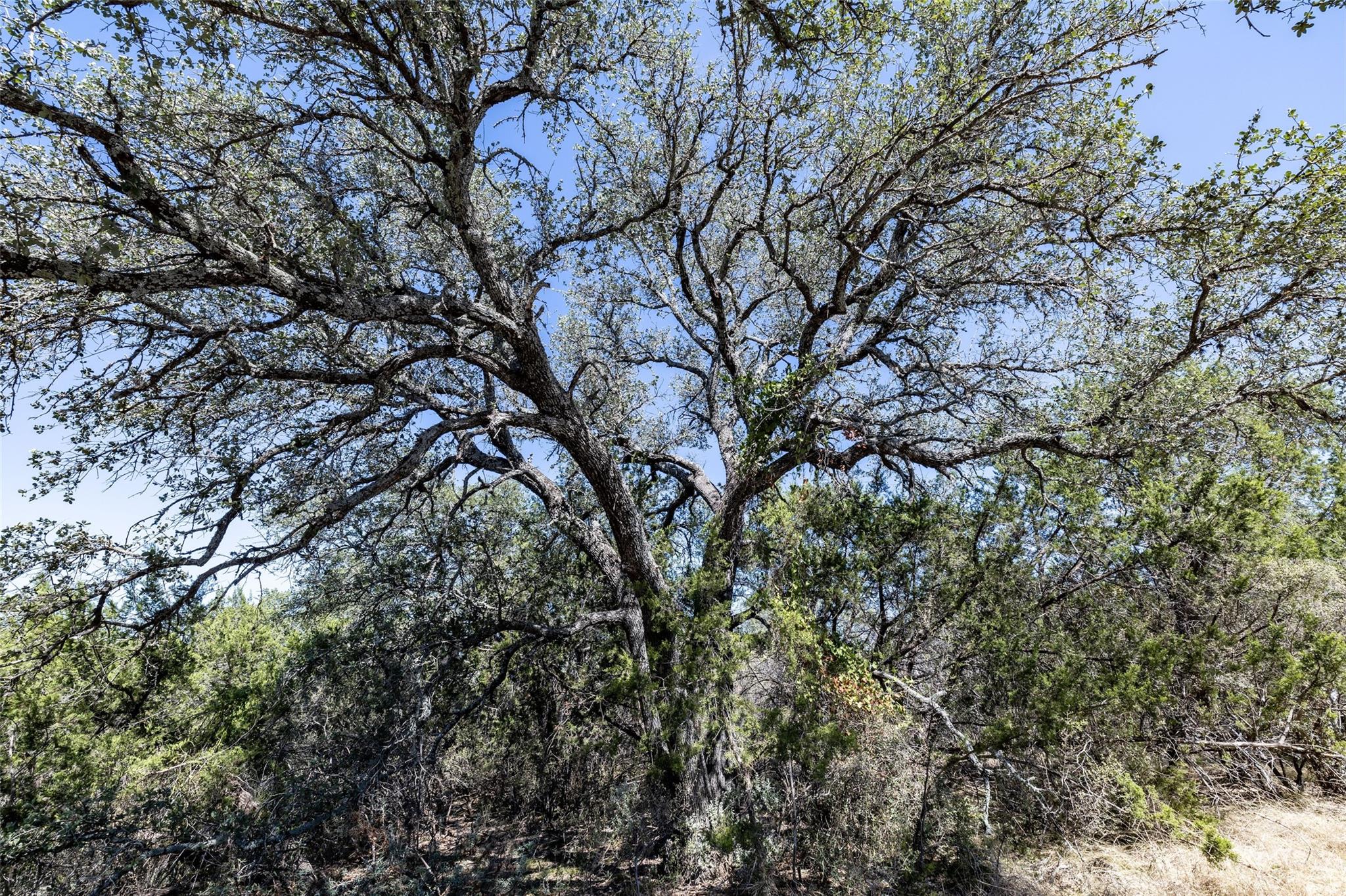 K8079 Stagecoach Horseshoe Bay TX 78657