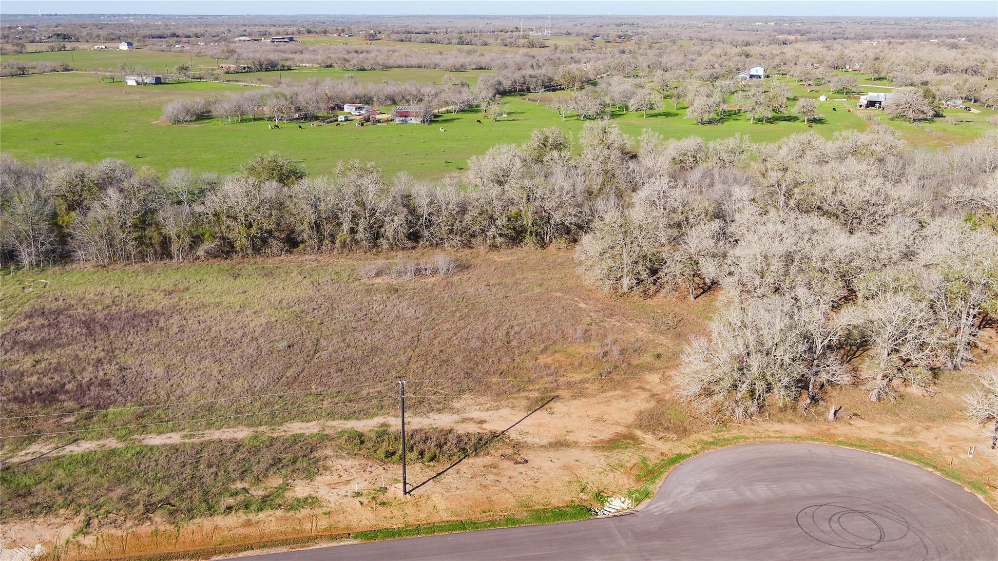 175 Azalea Court Dale TX 78616