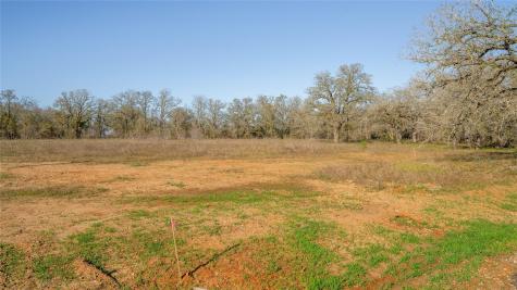 175 Azalea Court Dale TX 78616