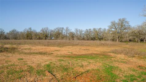 175 Azalea Court Dale TX 78616