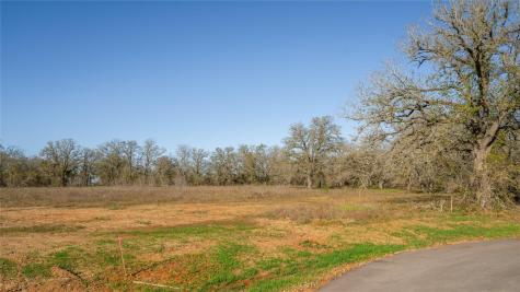 175 Azalea Court Dale TX 78616