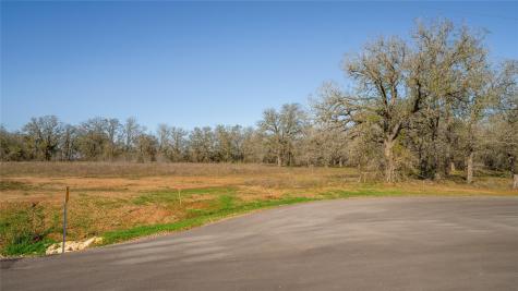 175 Azalea Court Dale TX 78616