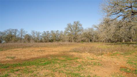 175 Azalea Court Dale TX 78616