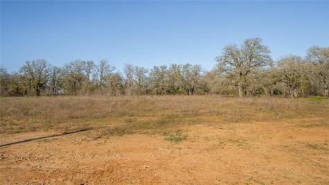 175 Azalea Court Dale TX 78616