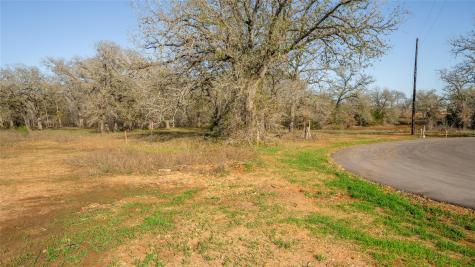 175 Azalea Court Dale TX 78616