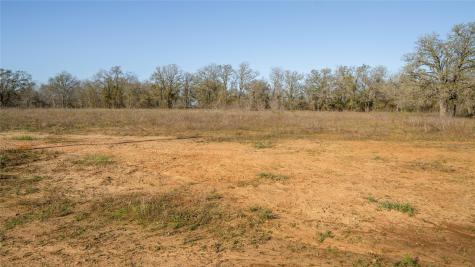 175 Azalea Court Dale TX 78616