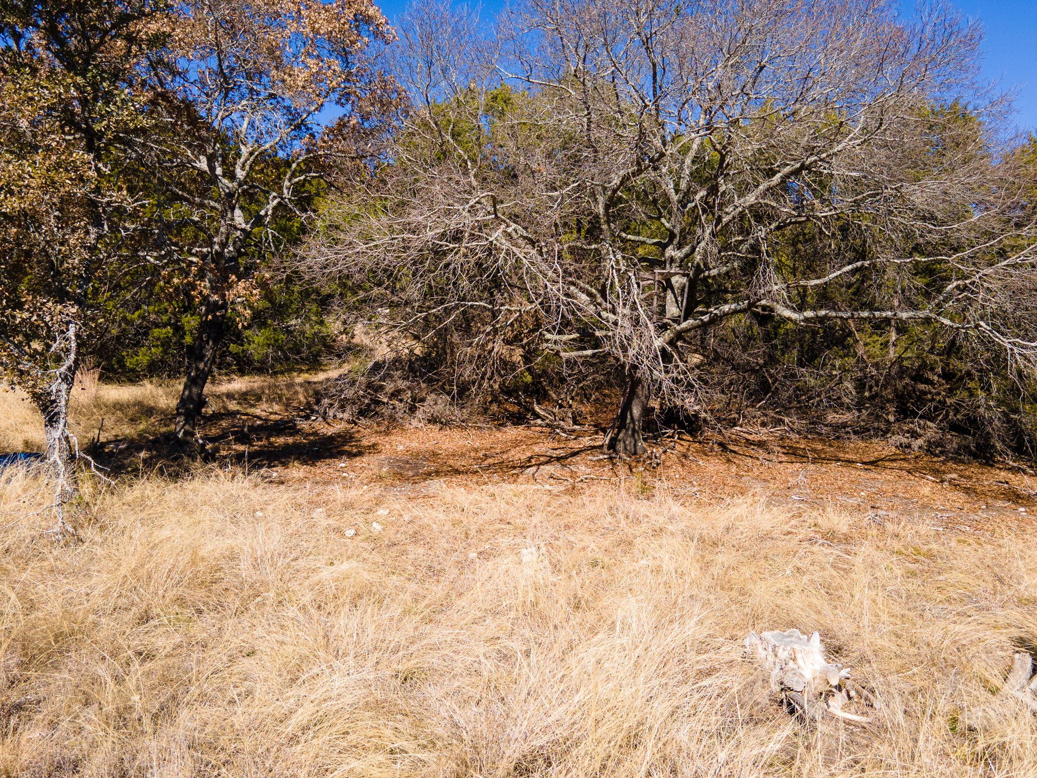 Lot #55 Blakely Road Gatesville TX 76528