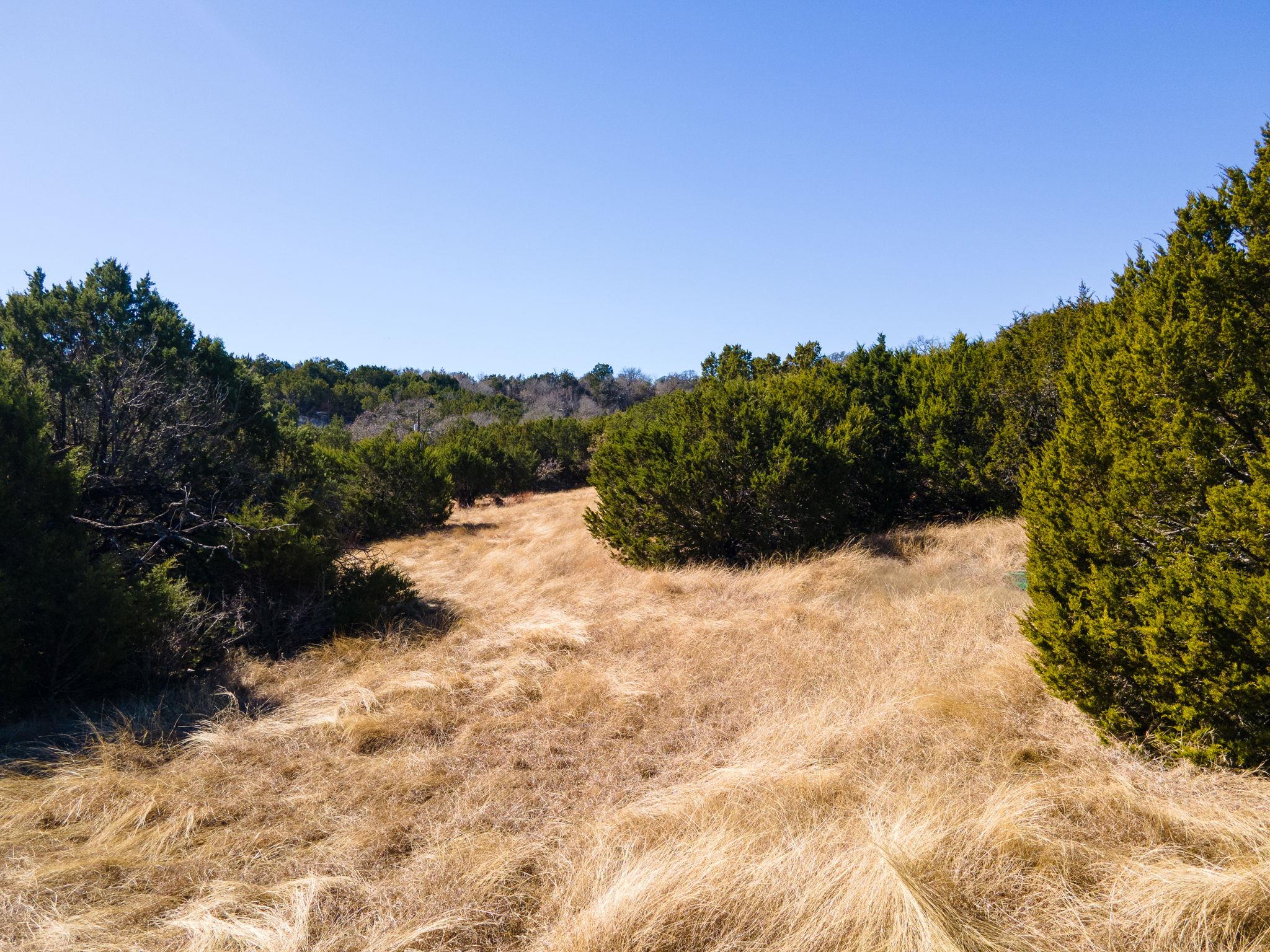 Lot #55 Blakely Road Gatesville TX 76528