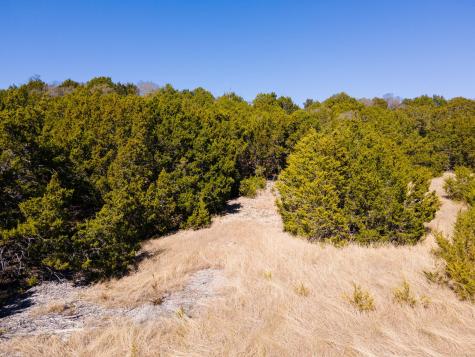 Lot #55 Blakely Road Gatesville TX 76528