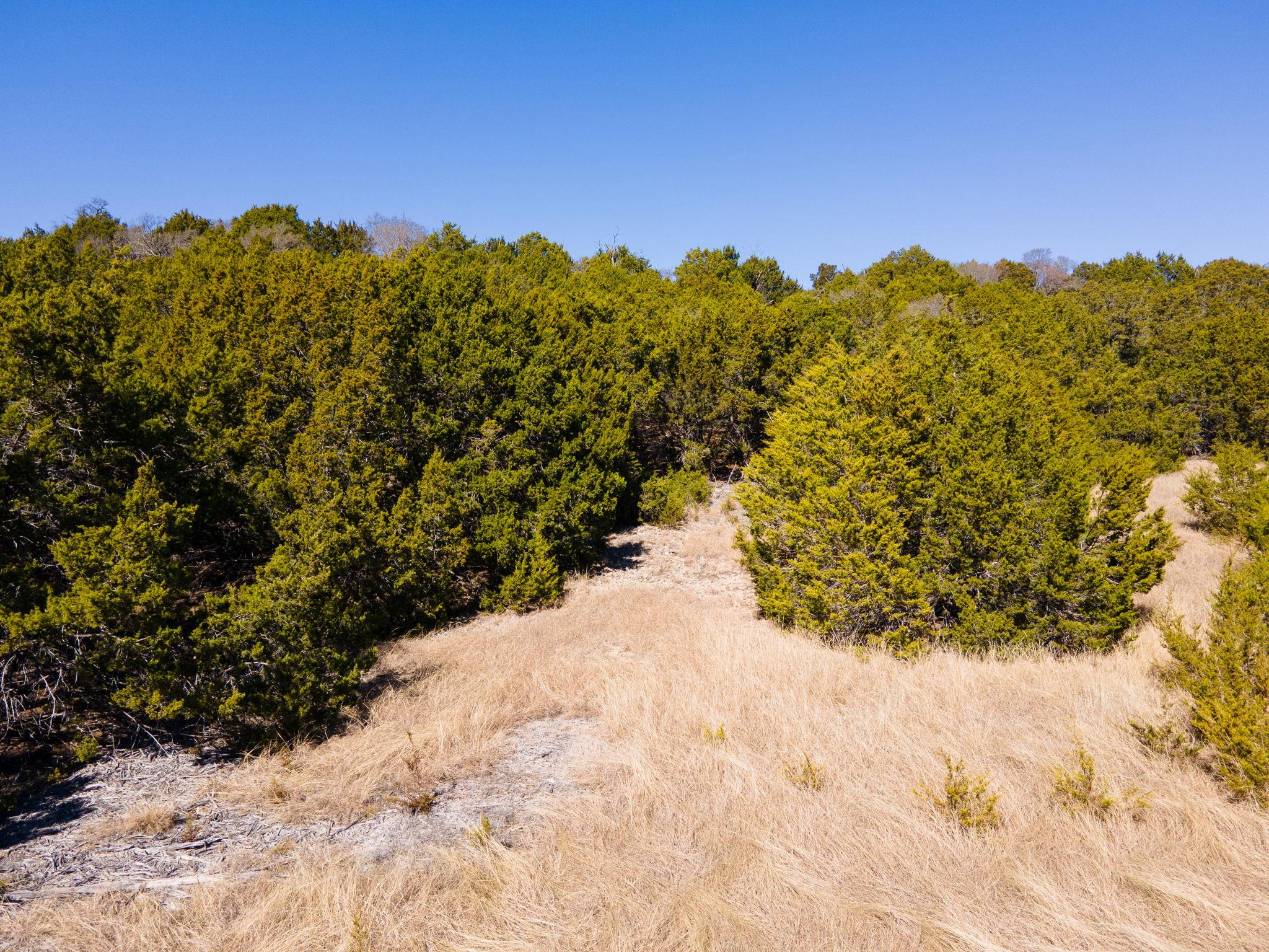 Lot #55 Blakely Road Gatesville TX 76528
