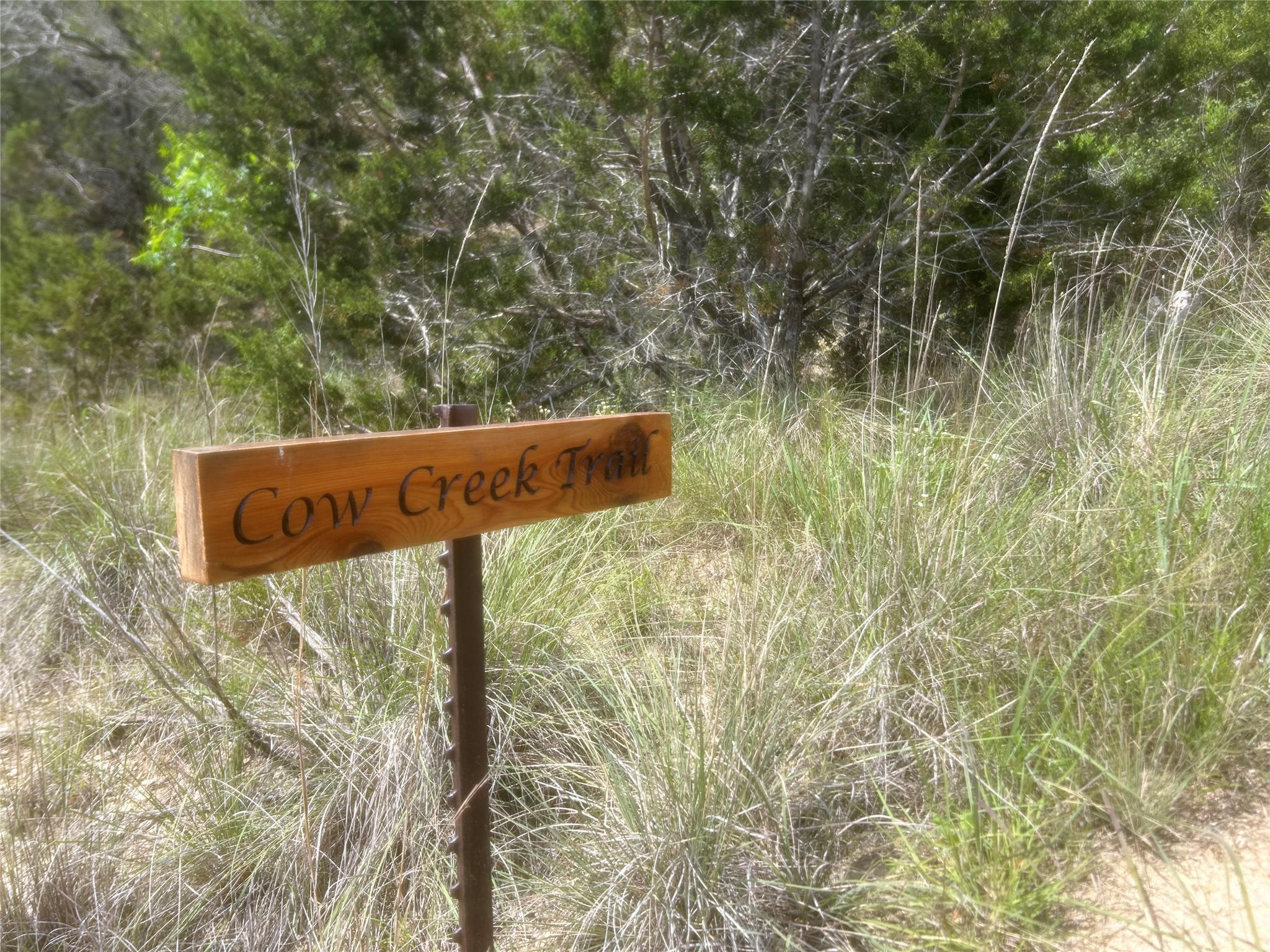 Lot 16 Channys Corners Bertram TX 78605