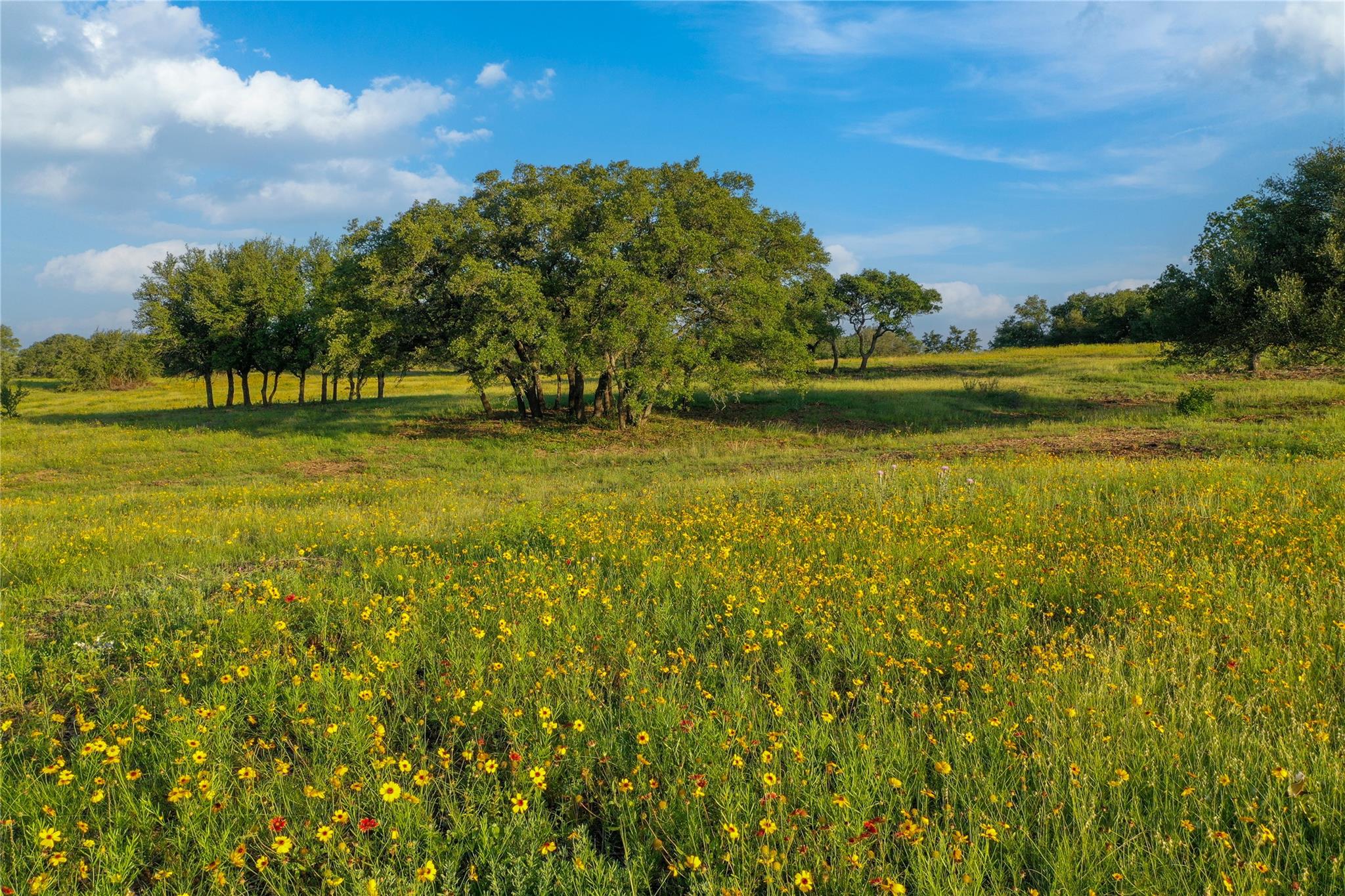 Tbd Us 190 Highway Lometa TX 76853