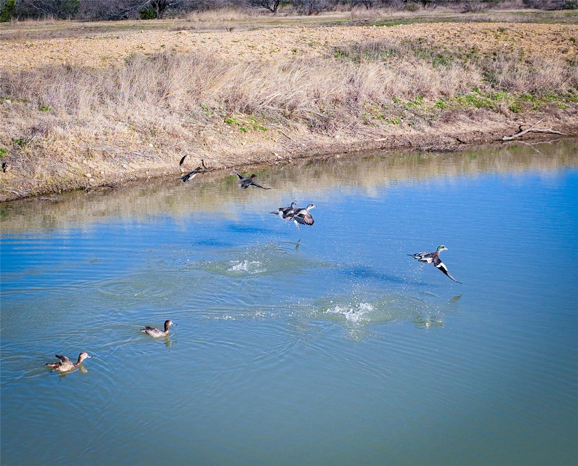 Tbd Us 190 Highway Lometa TX 76853
