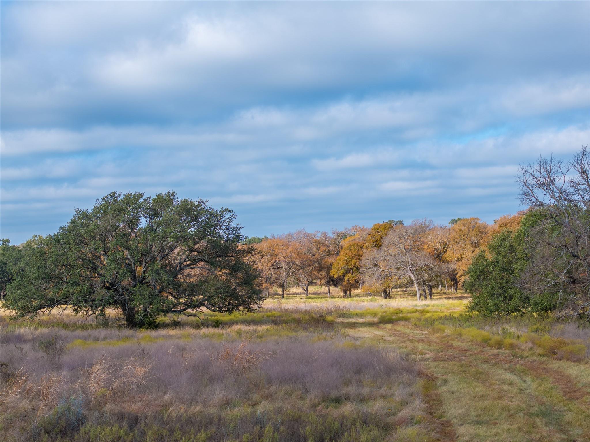 Tbd Us 190 Highway Lometa TX 76853