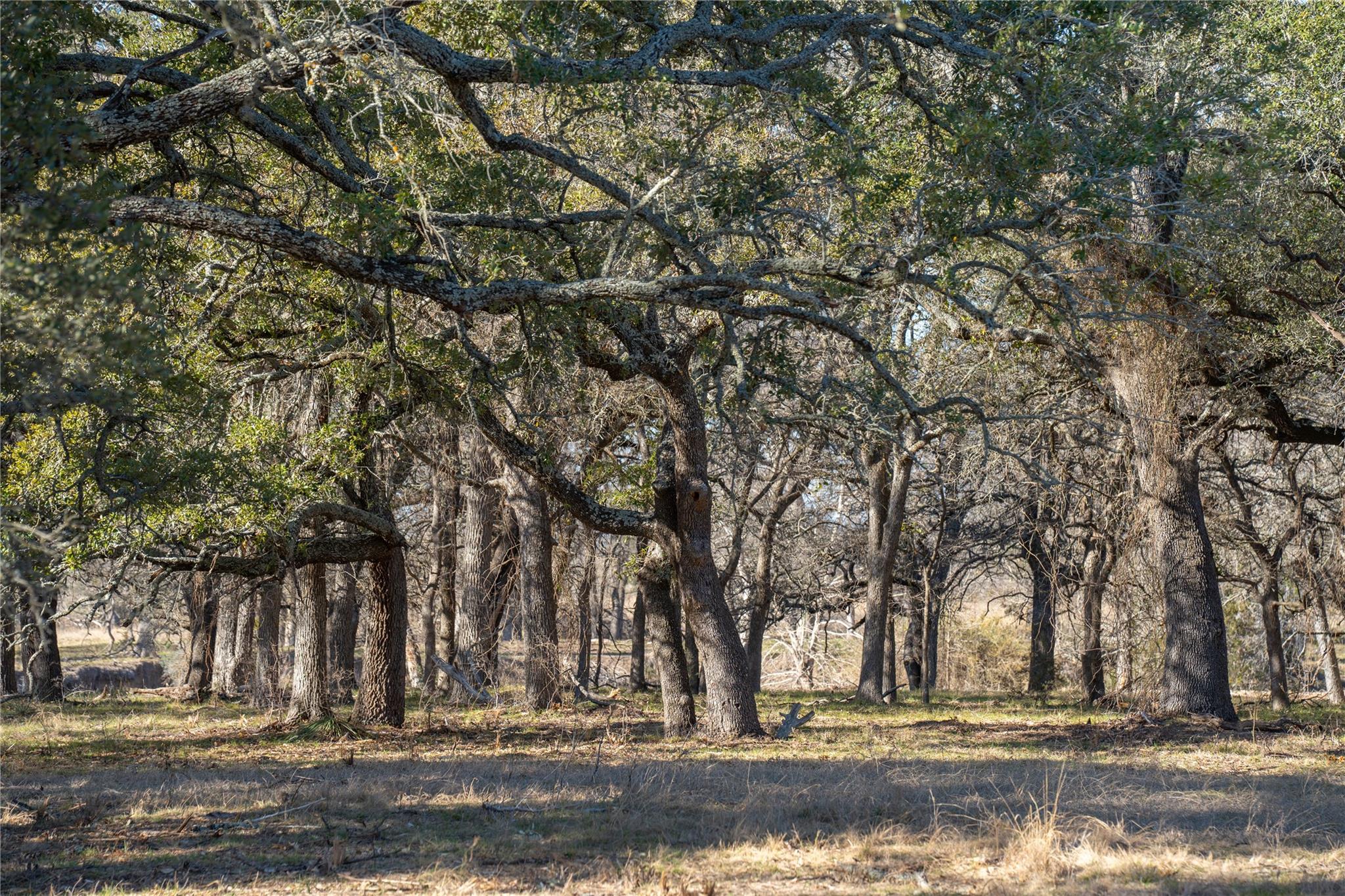 Tbd Us 190 Highway Lometa TX 76853