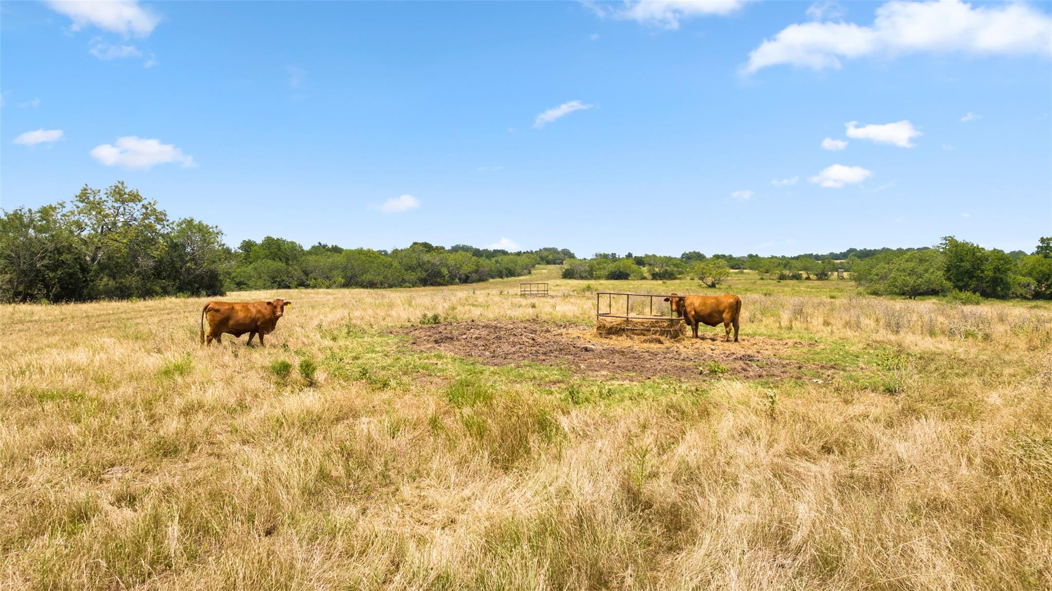 3575 Westwood Road Lockhart TX 78644
