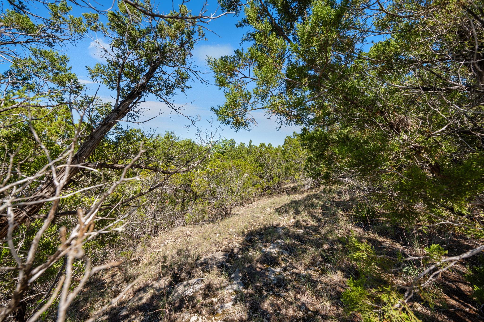28801 Rim Rock Road Marble Falls TX 78654