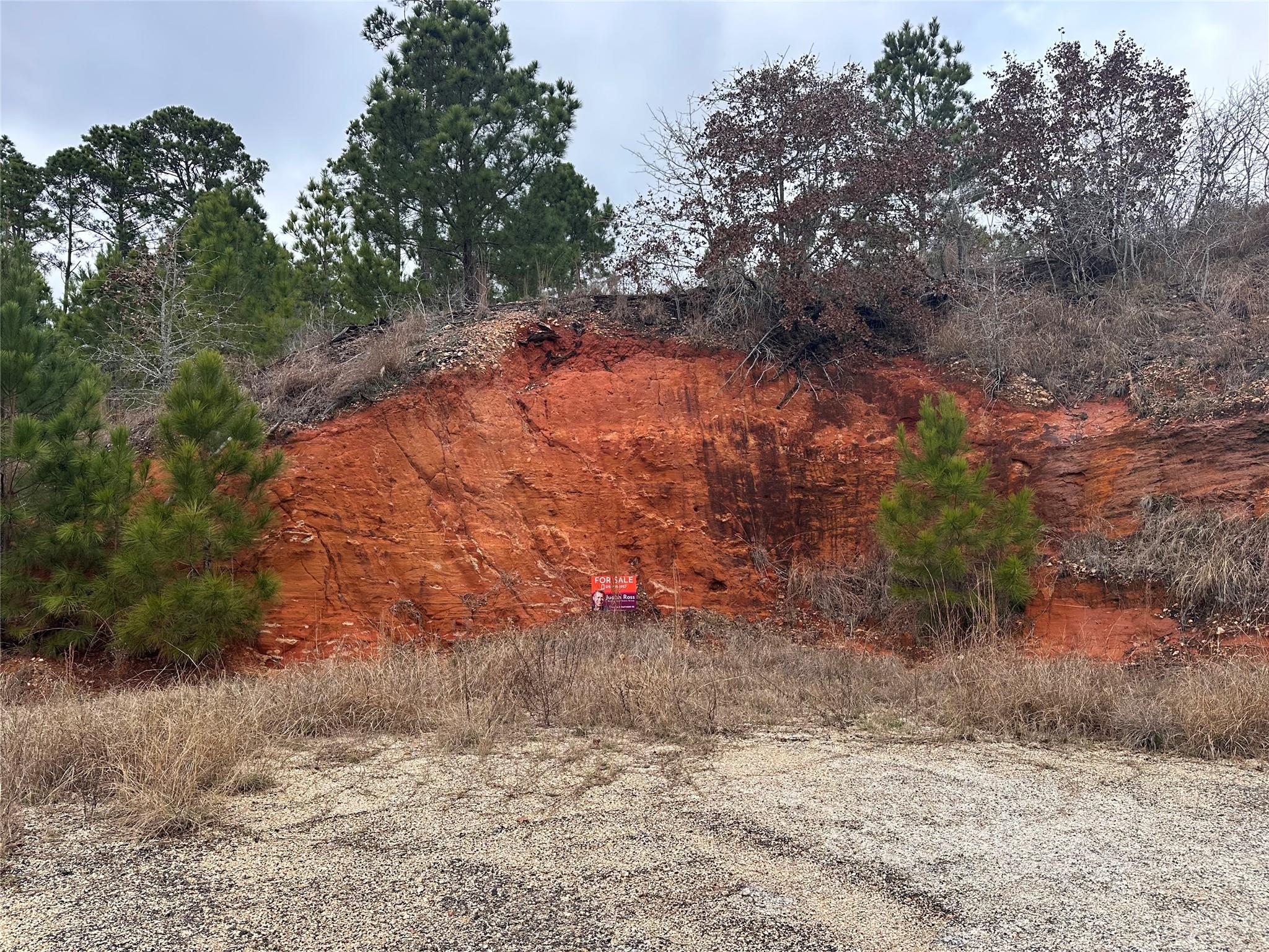 Lot 177 / R32246 Keo Kea Court Bastrop TX 78602